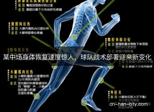 某中场身体恢复速度惊人，球队战术部署迎来新变化