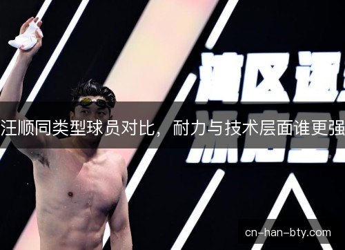 汪顺同类型球员对比，耐力与技术层面谁更强